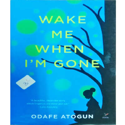 WAKE ME WHEN I'M GONE