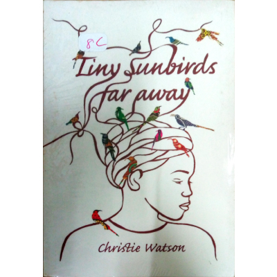 TINY SUNBIRDS FAR AWAY