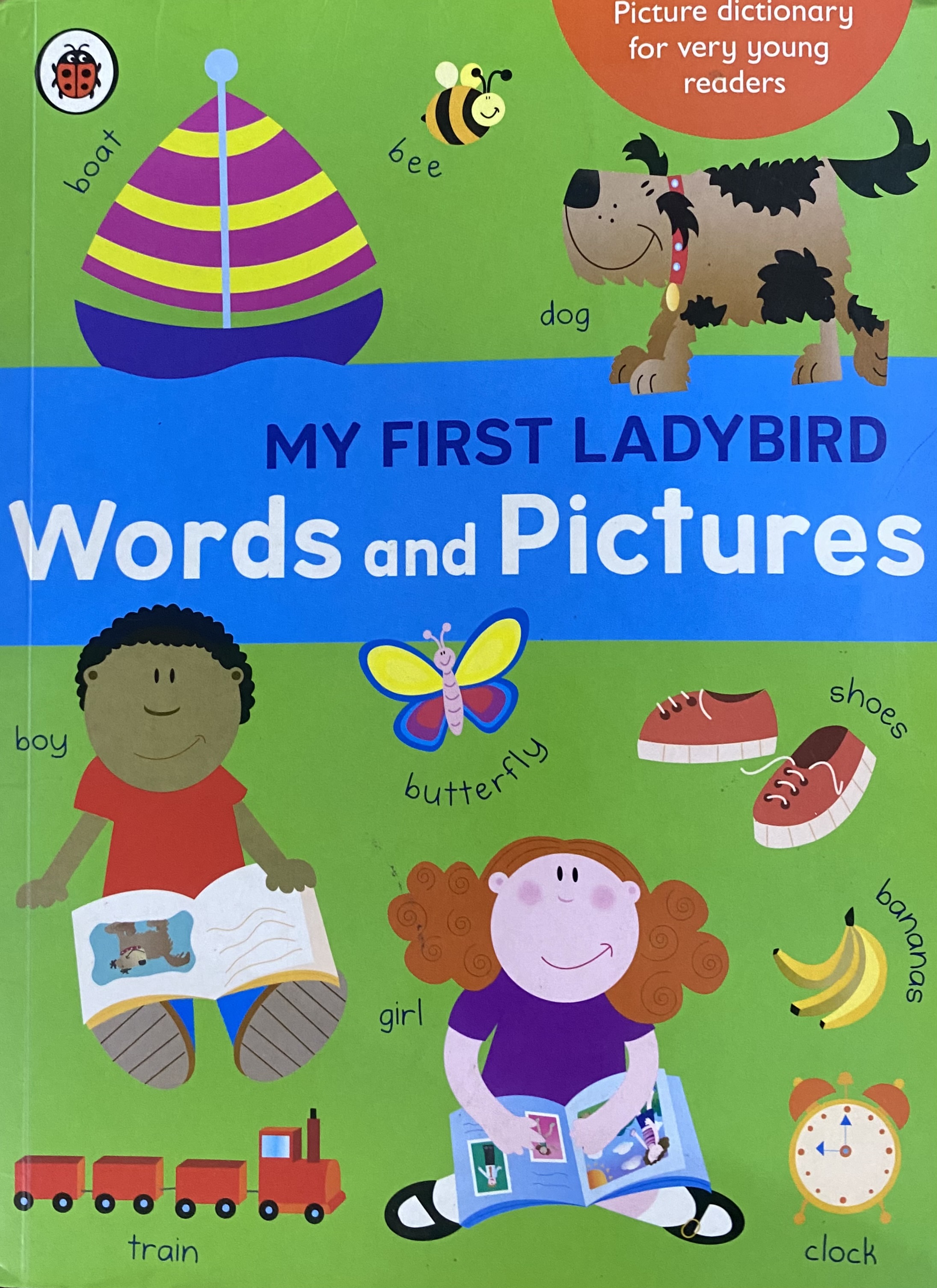 MY FIRST LADYBIRD WORDS AND PIC