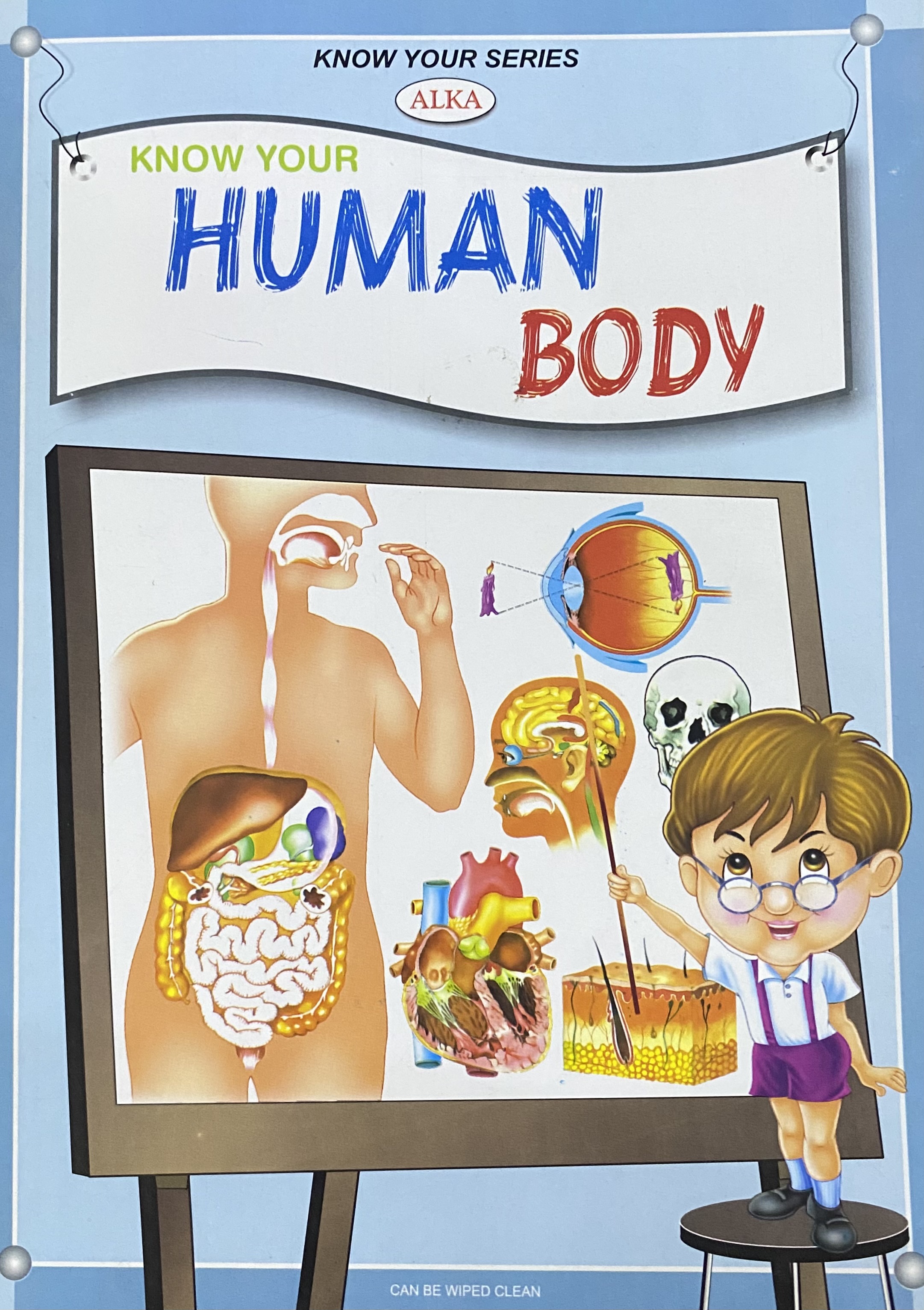 KNOW YOUR HUMAN BODY