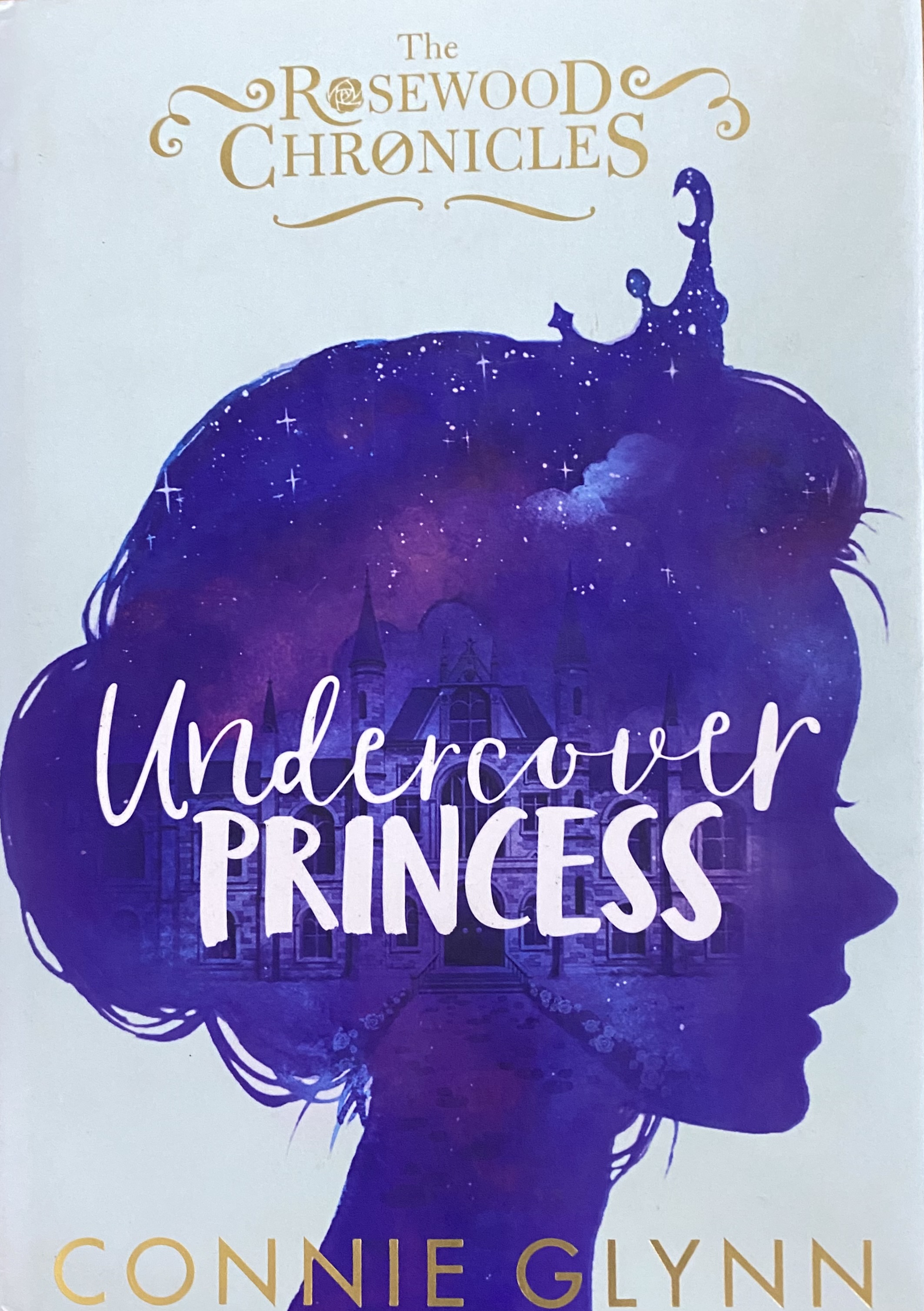 UNDERCOVER PRINCESS