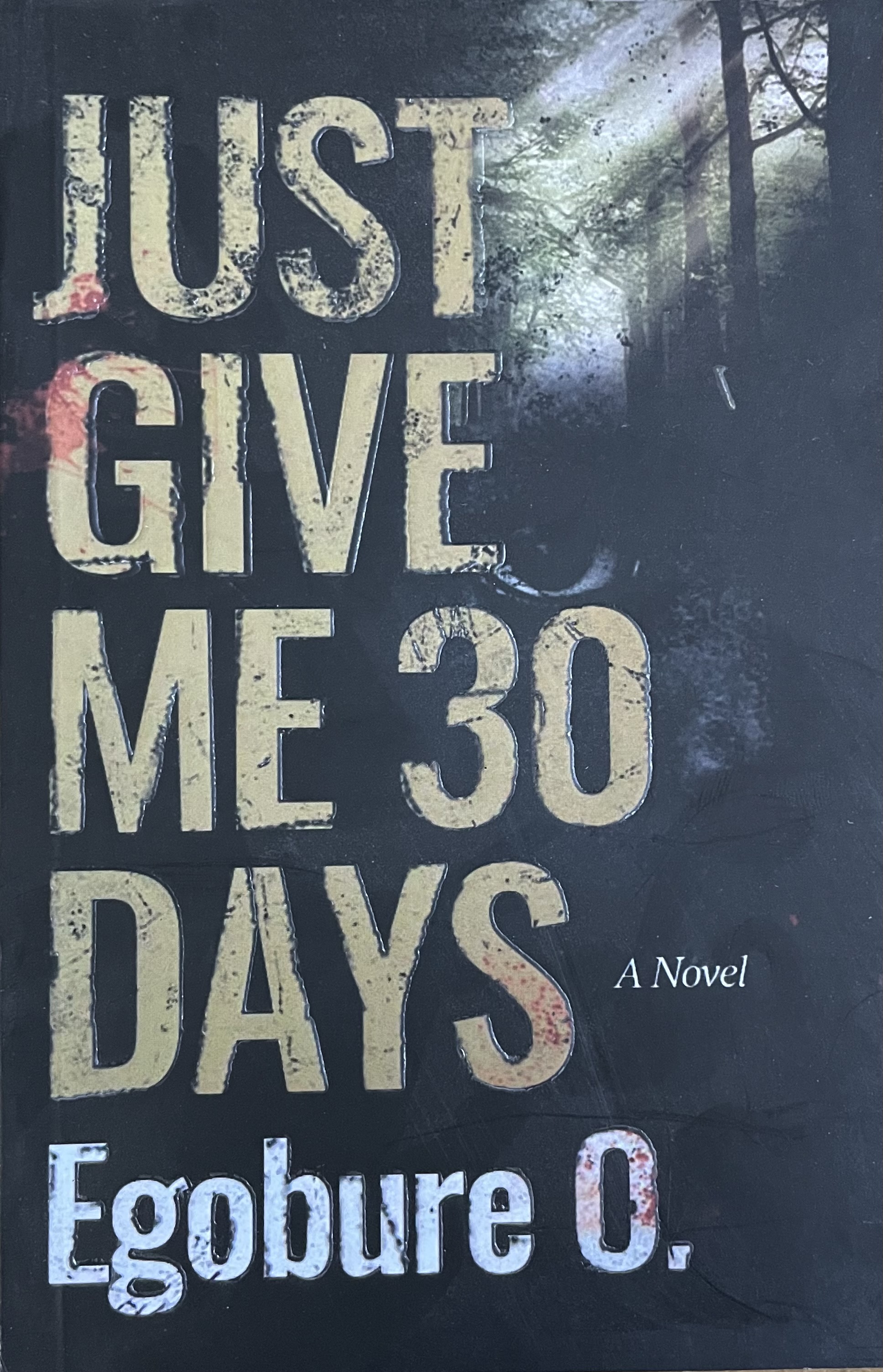 JUST GIVE ME 3O DAYS