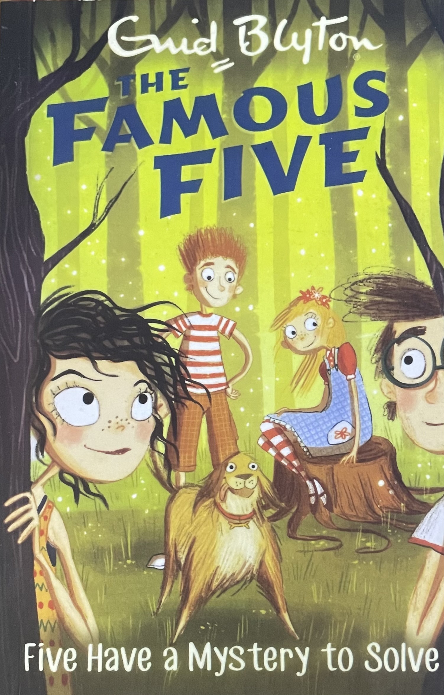 FIVE HAVE A MYSTERY TO SOLVE