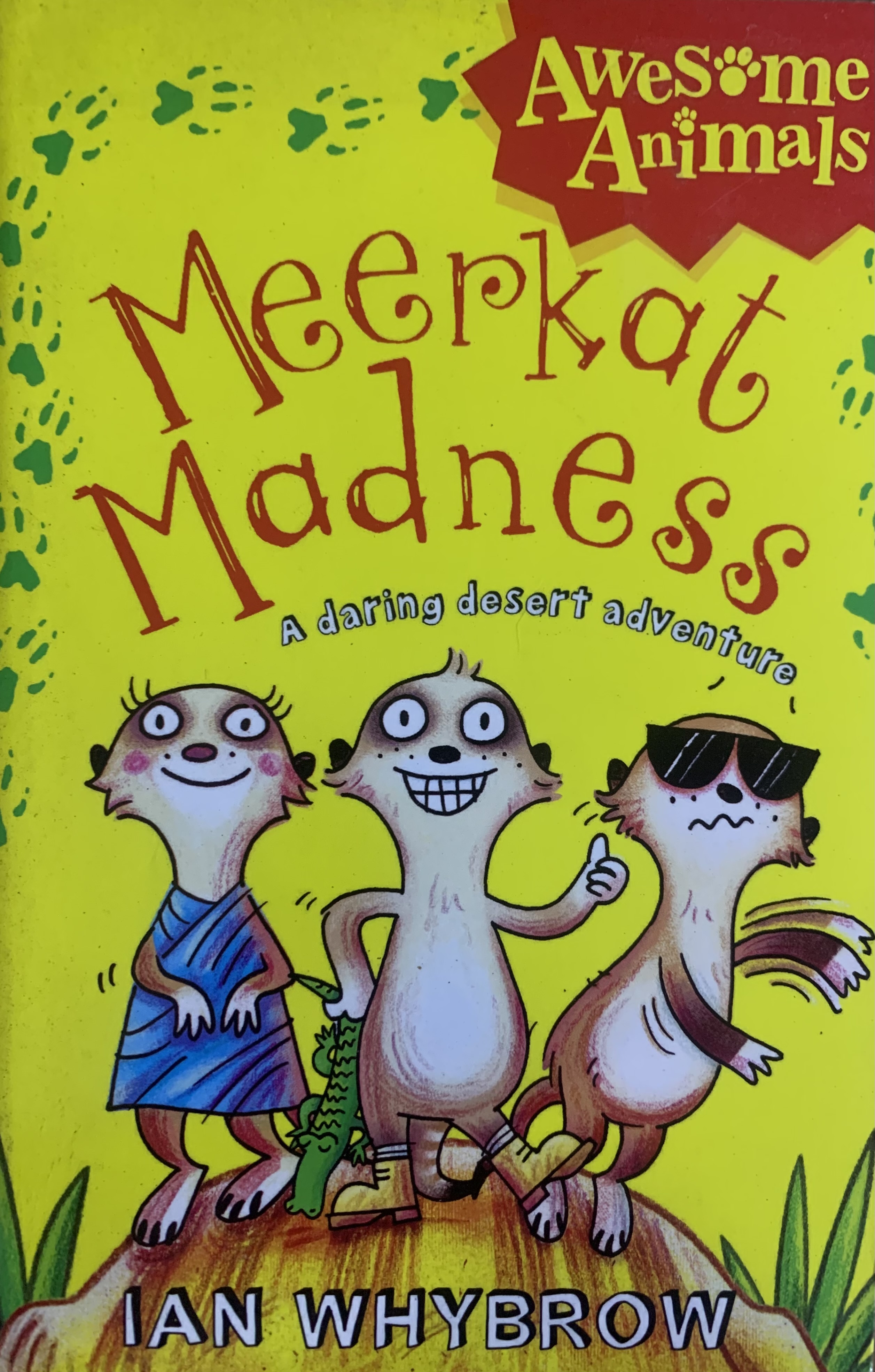 MEERKAT MADNESS