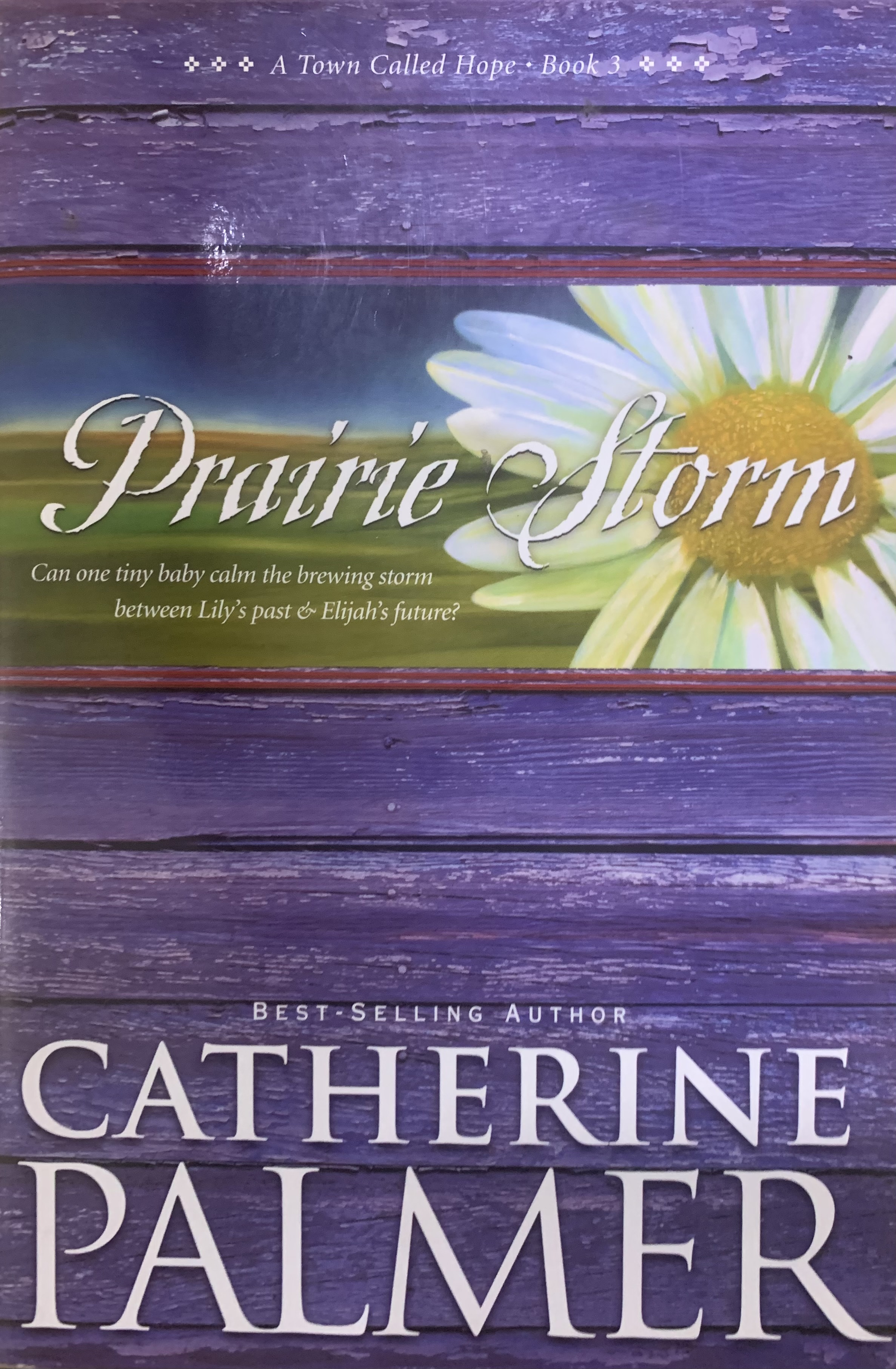 PRAIRIE STORM