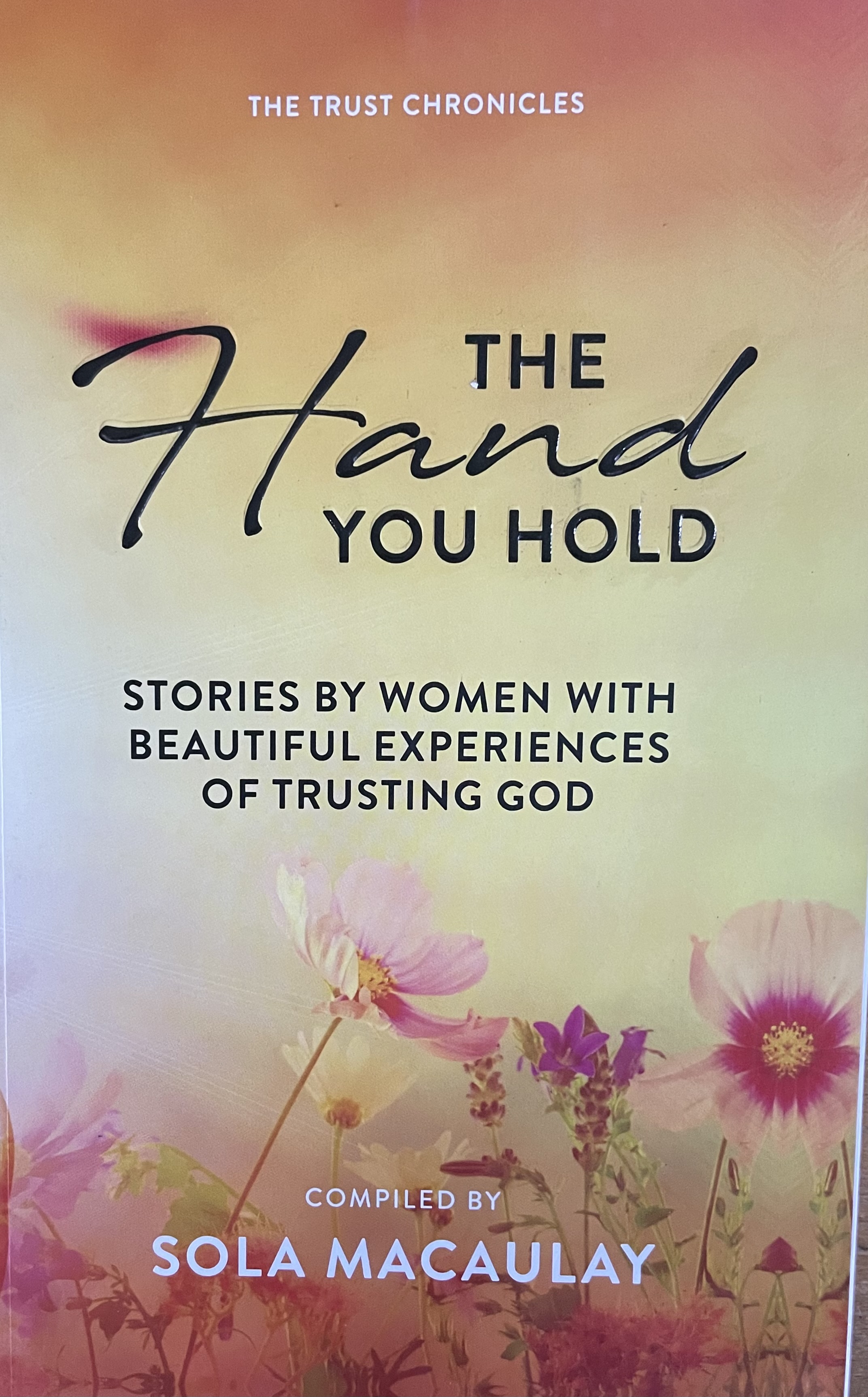THE HAND YOU HOLD