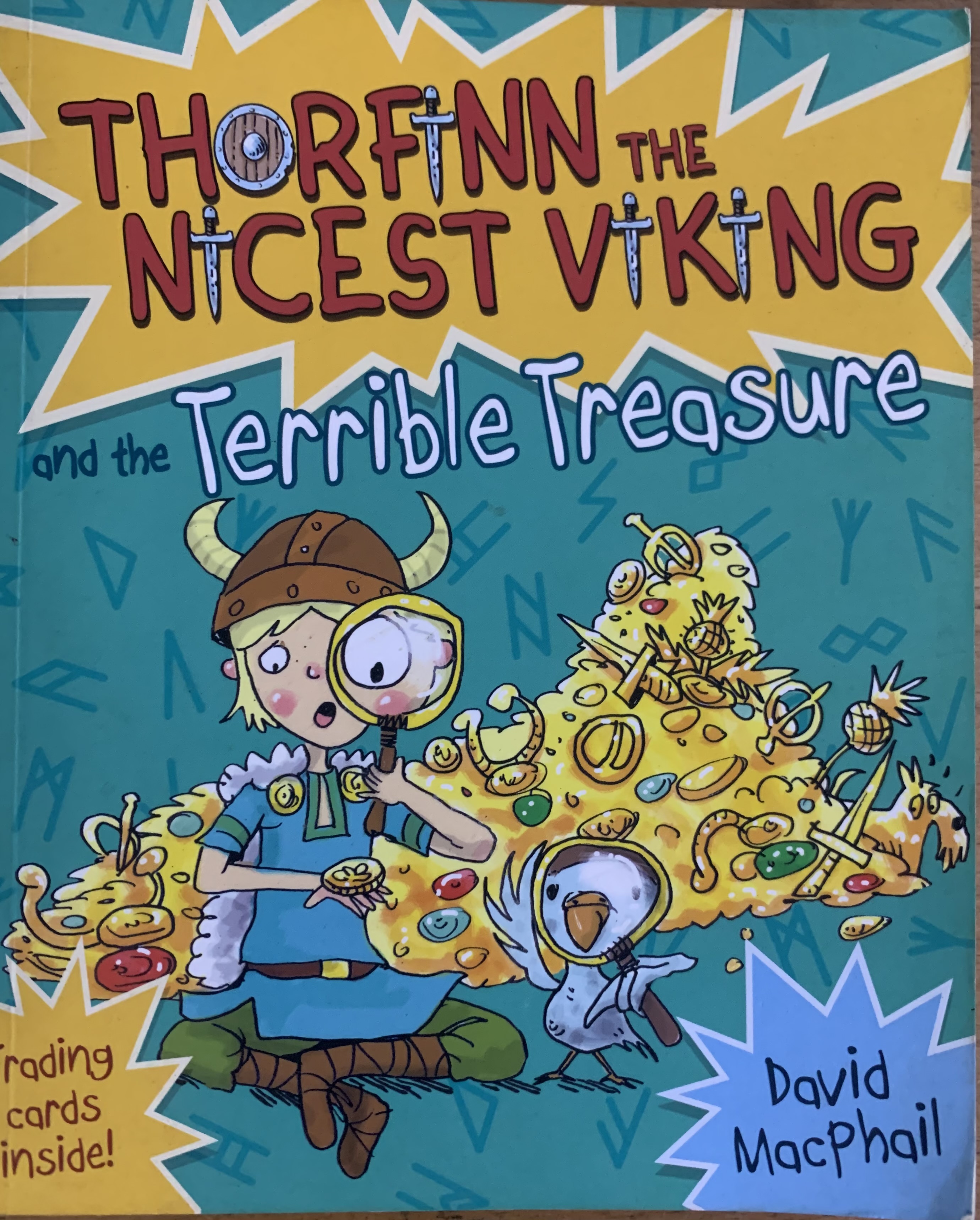 THORFINN THE NICEST VIKING