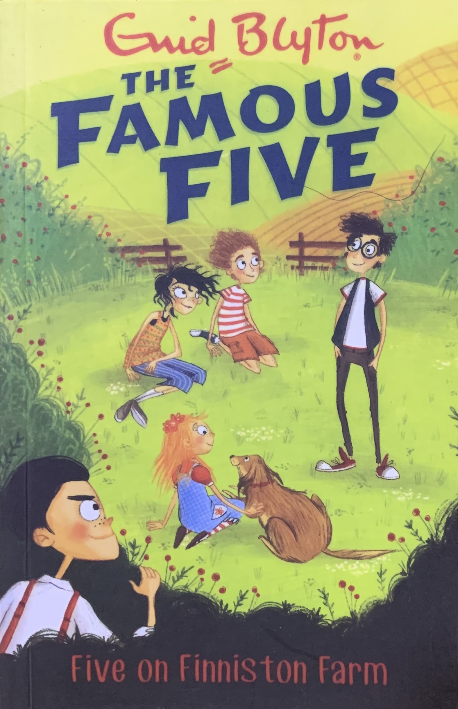 FIVE ON FINNISTON FARM