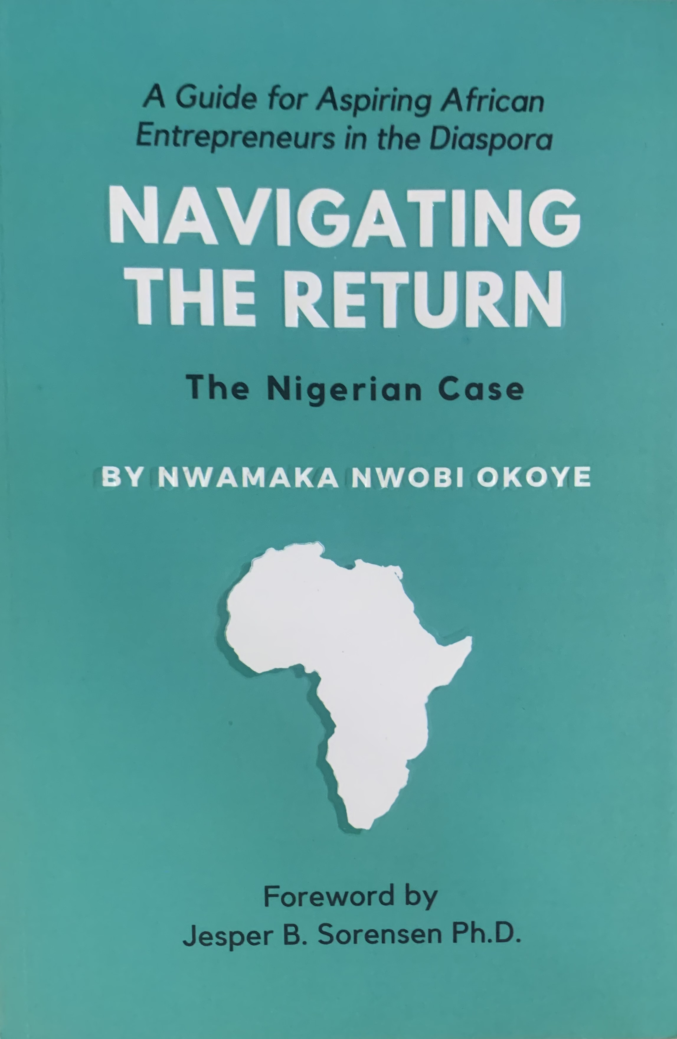 NAVIGATING THE RETURN (THE NIGE