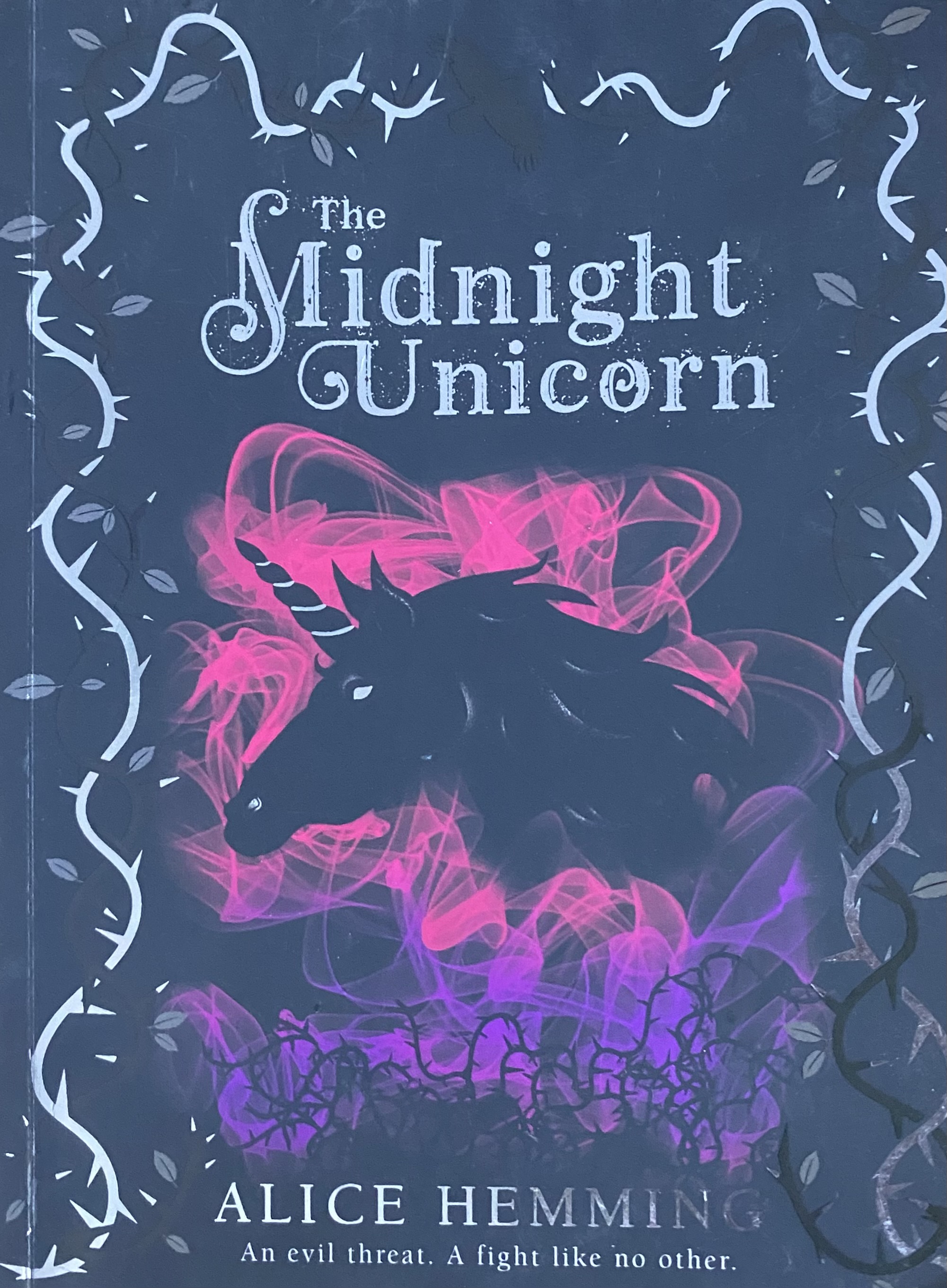 THE MIDNIGHT UNICORN