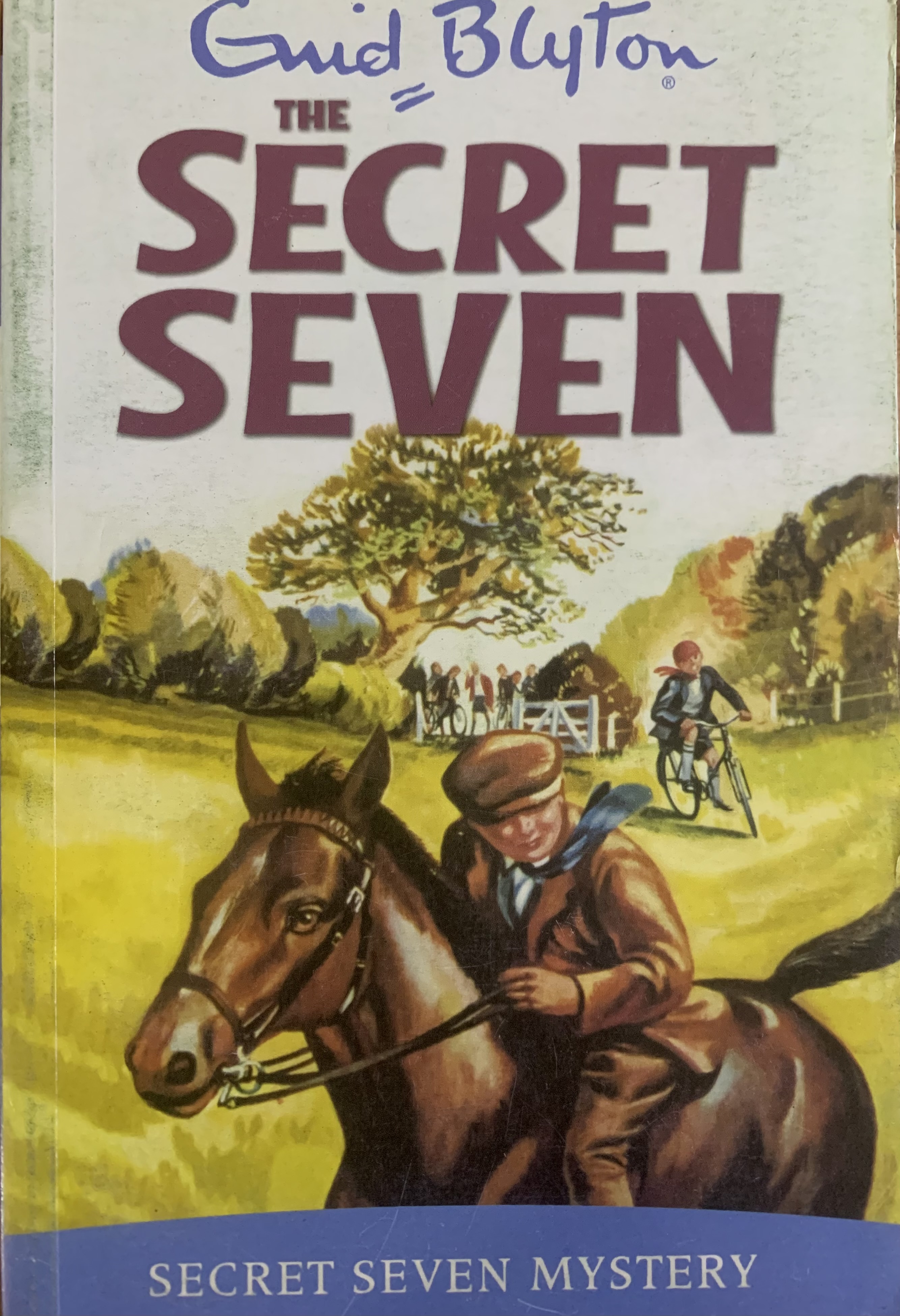SECRET SEVEN MYSTERY