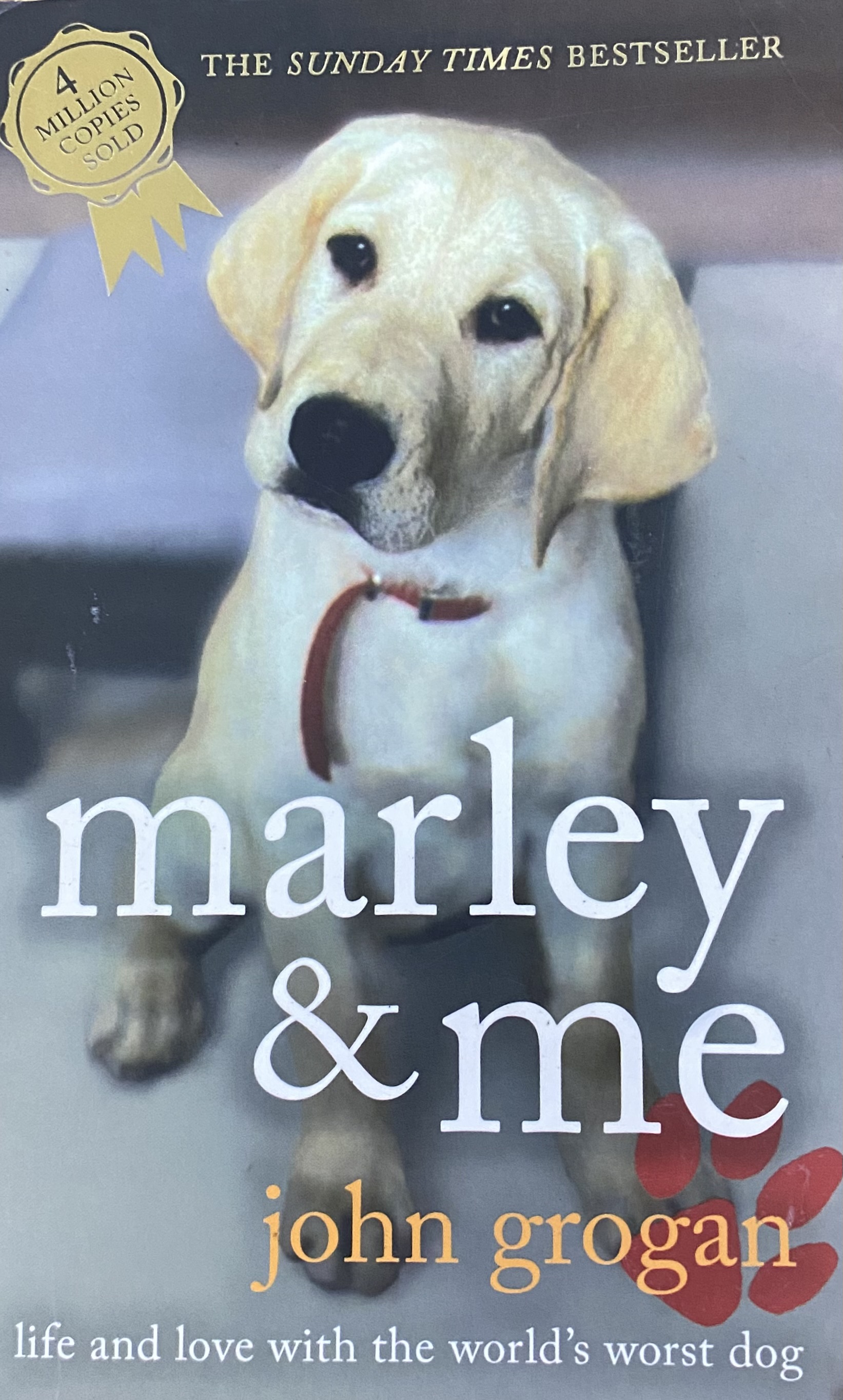 MARLEY & ME - LIFE AND LOVE WIT