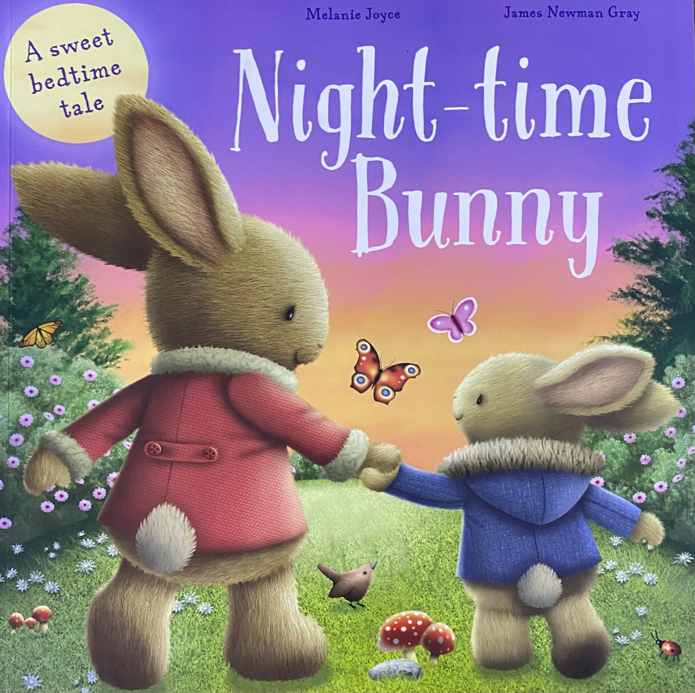 NIGHT-TIME BUNNY