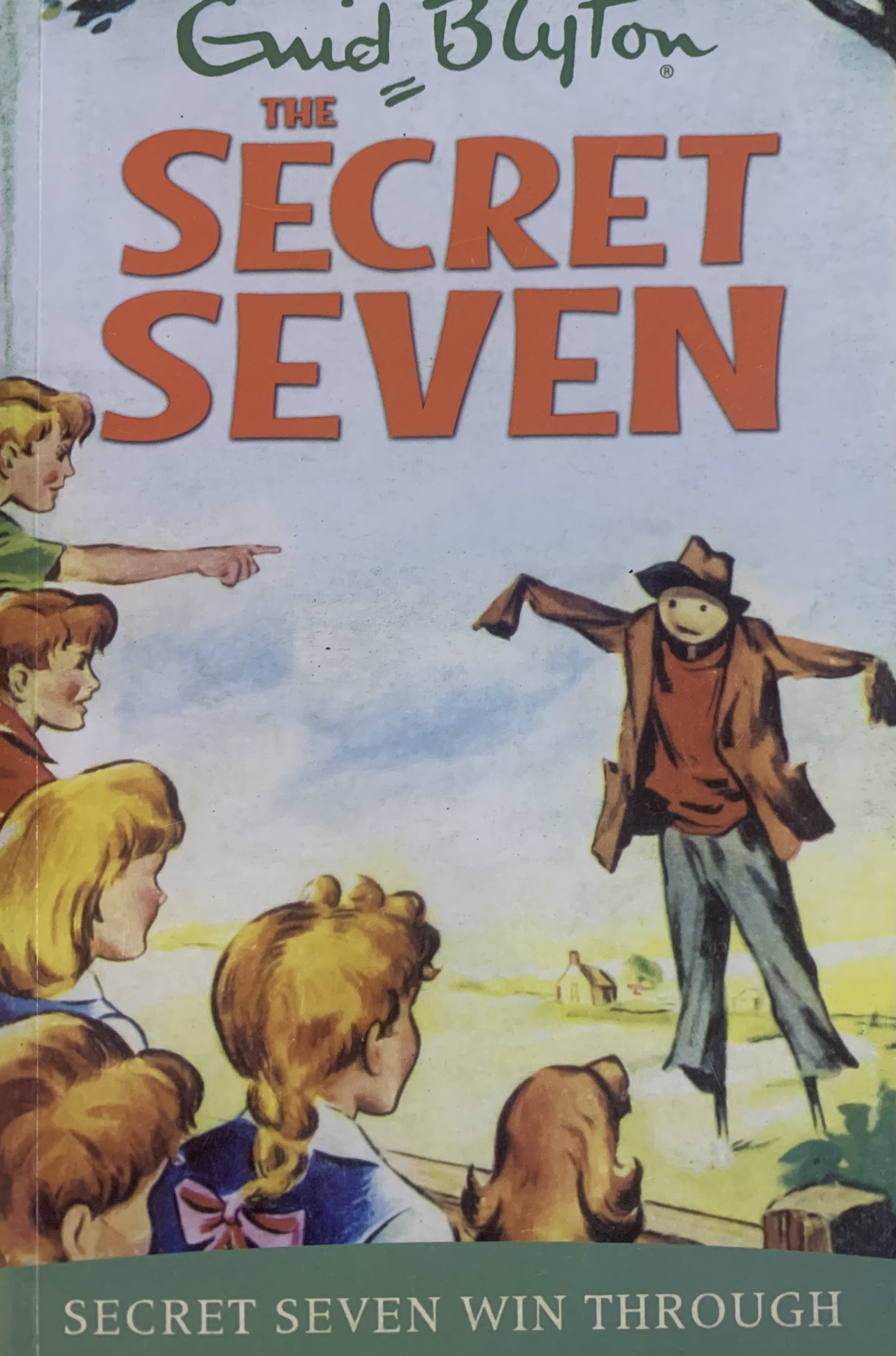 SECRET SEVEN WIN THROUGH