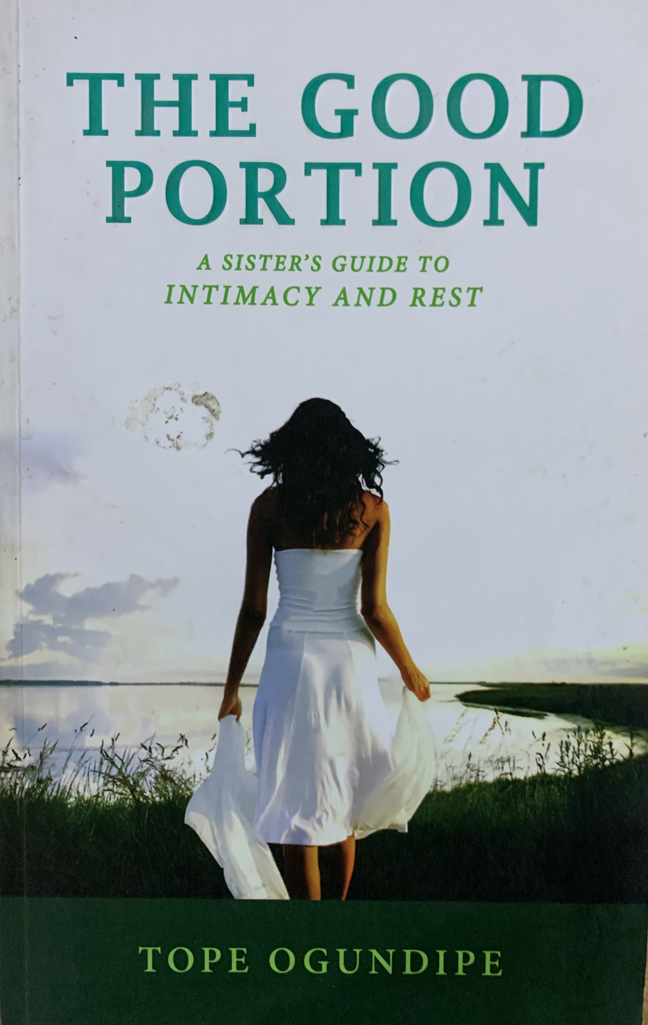 THE GOOD PORTION