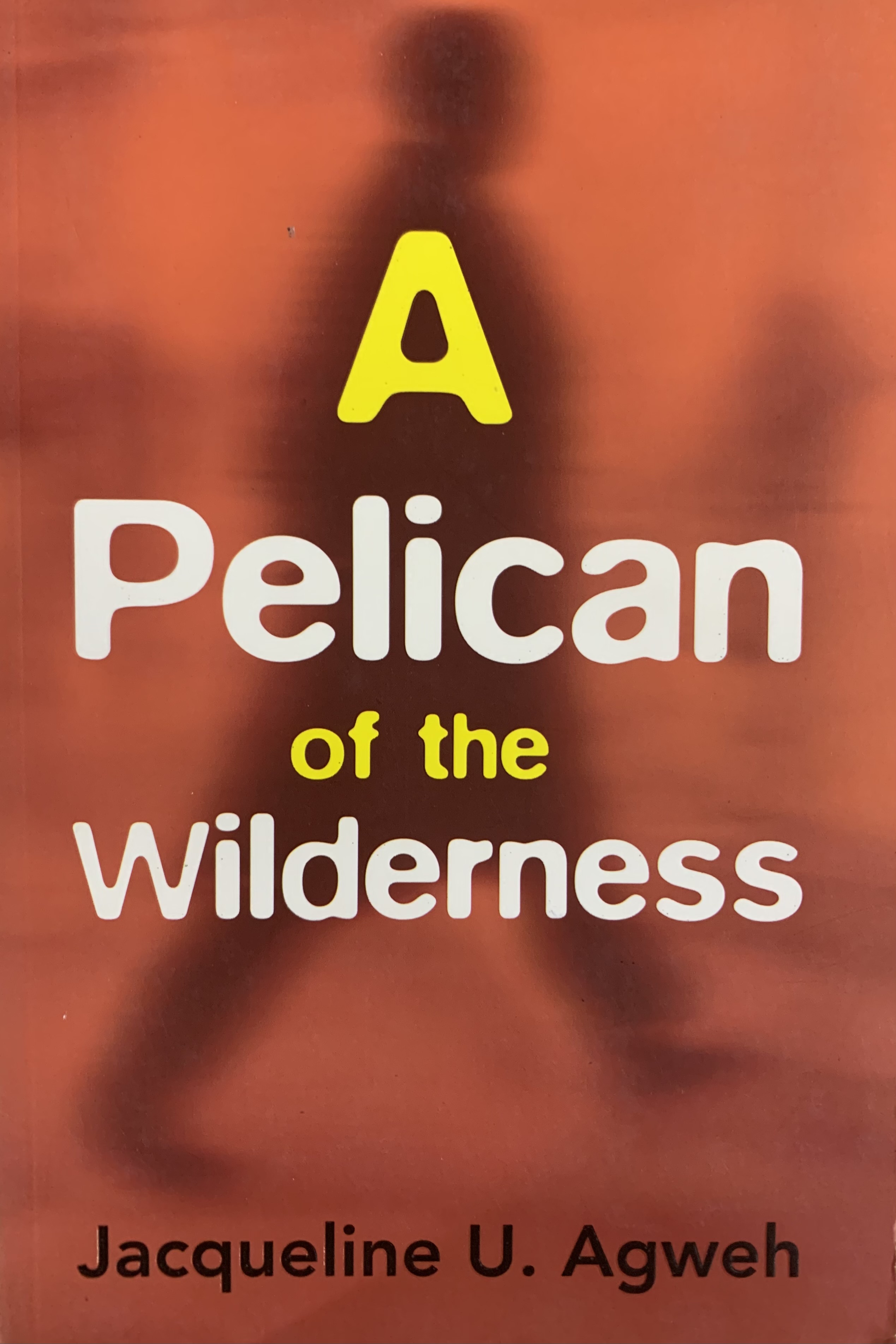 A PELICAN OF THE WILDERNESS