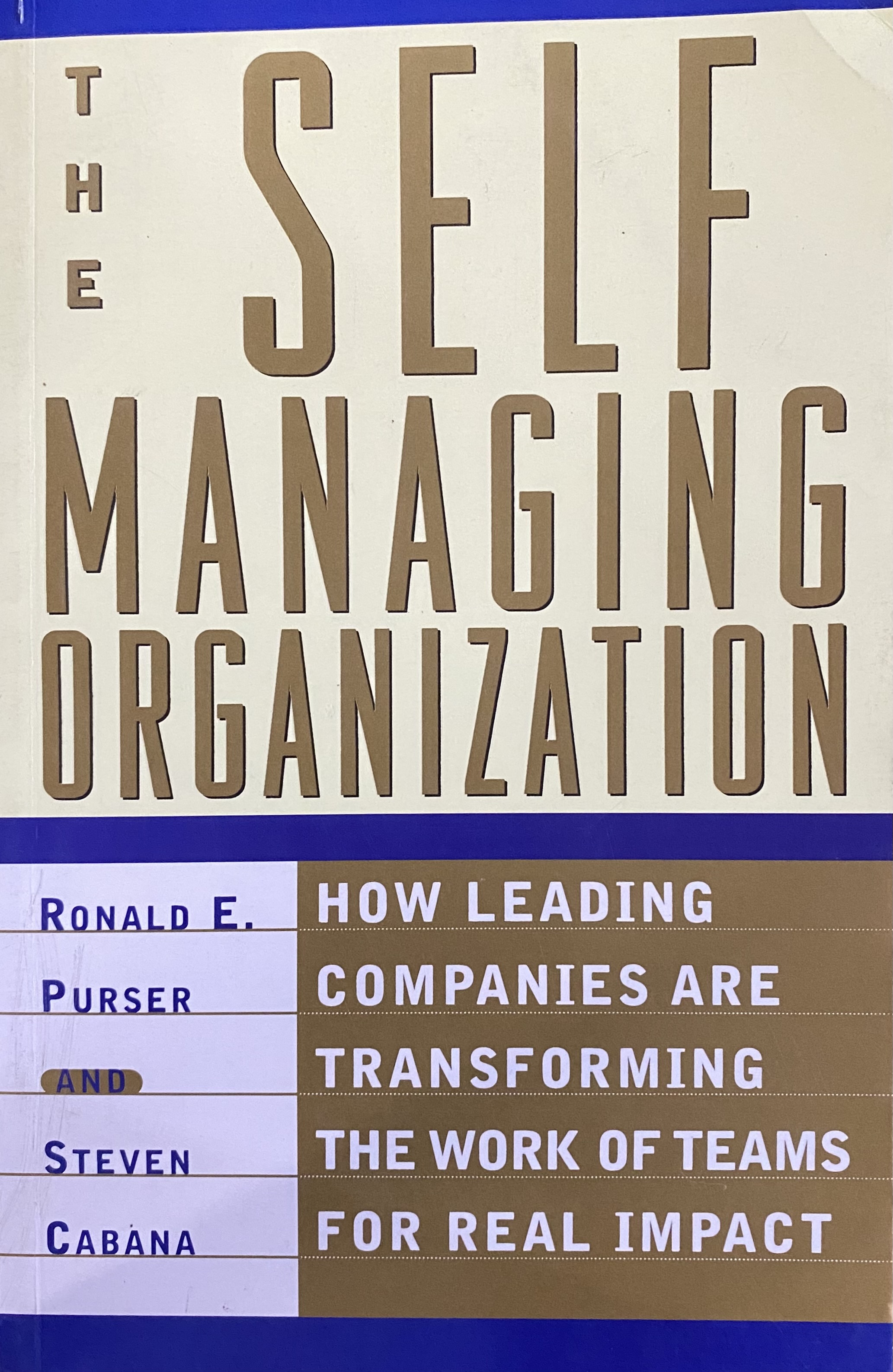 THE SELF MANAGING ORGANIZATION