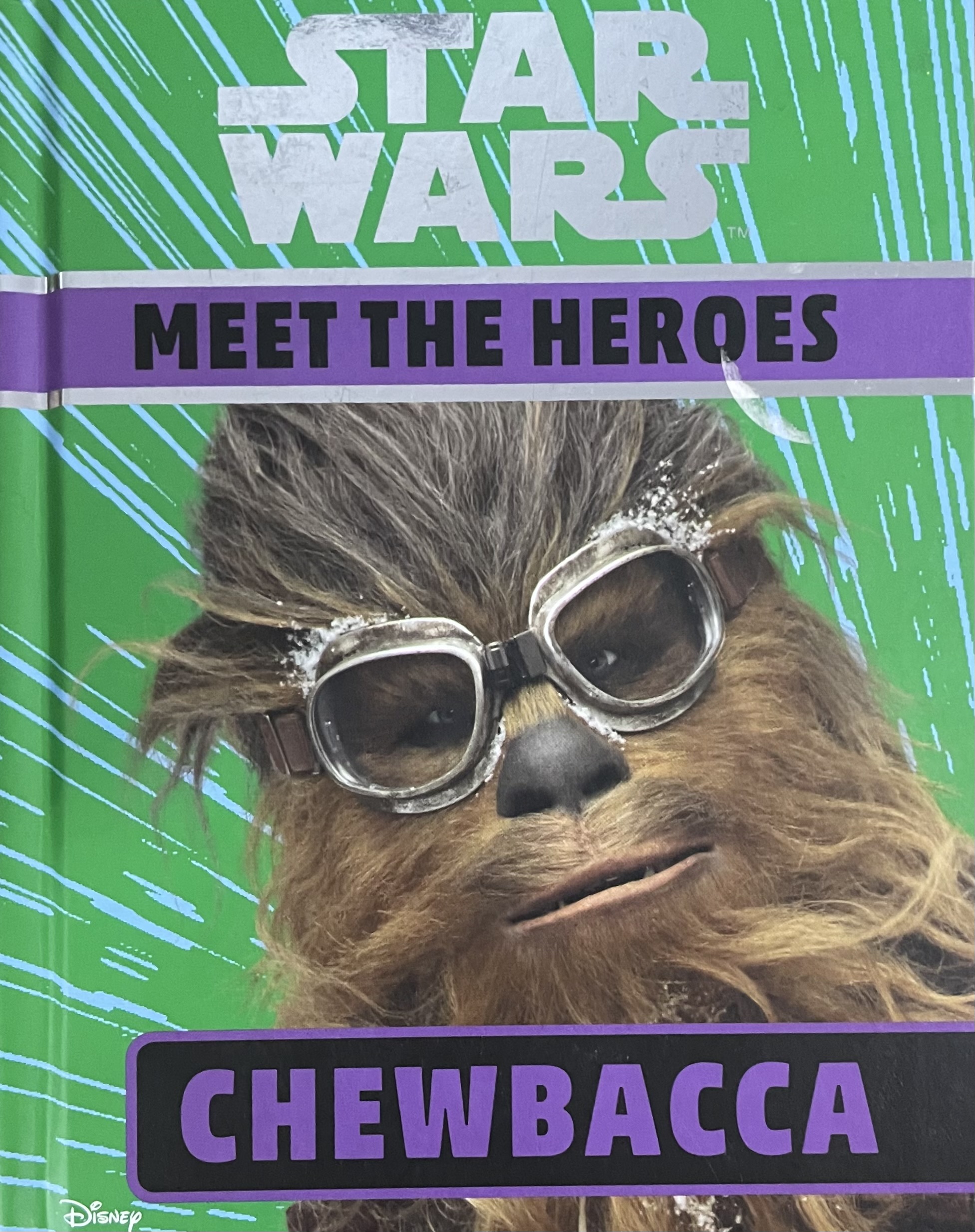 MEET THE  HEROES  [STARWARS]