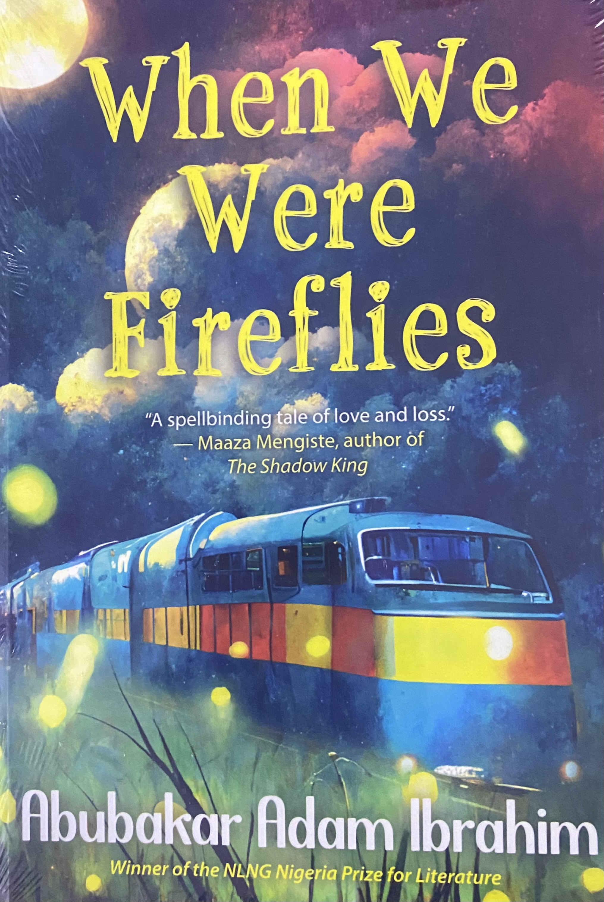 WHEN WE WERE FIREFLIES