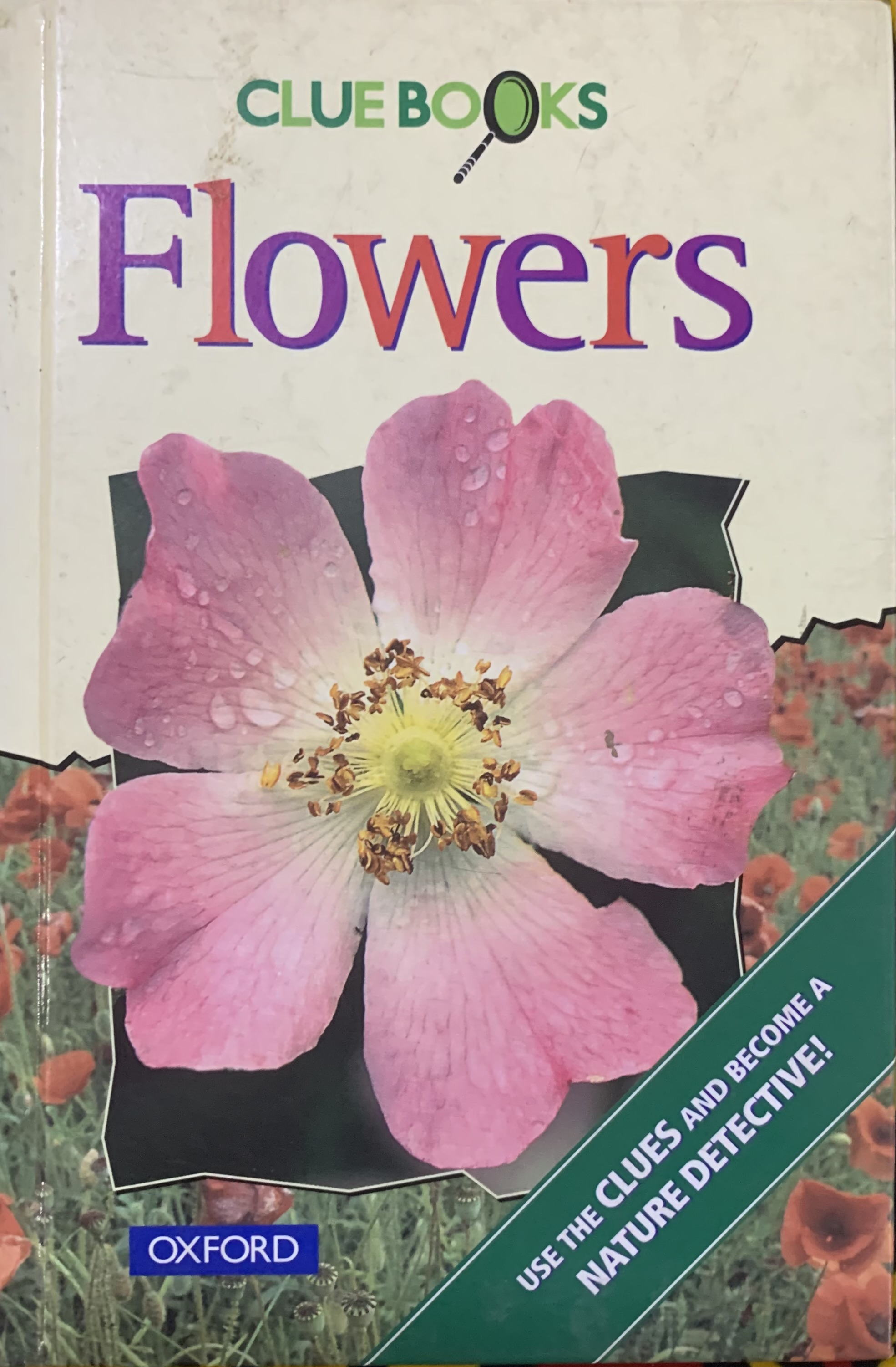 CLUE BOOKS FLOWER
