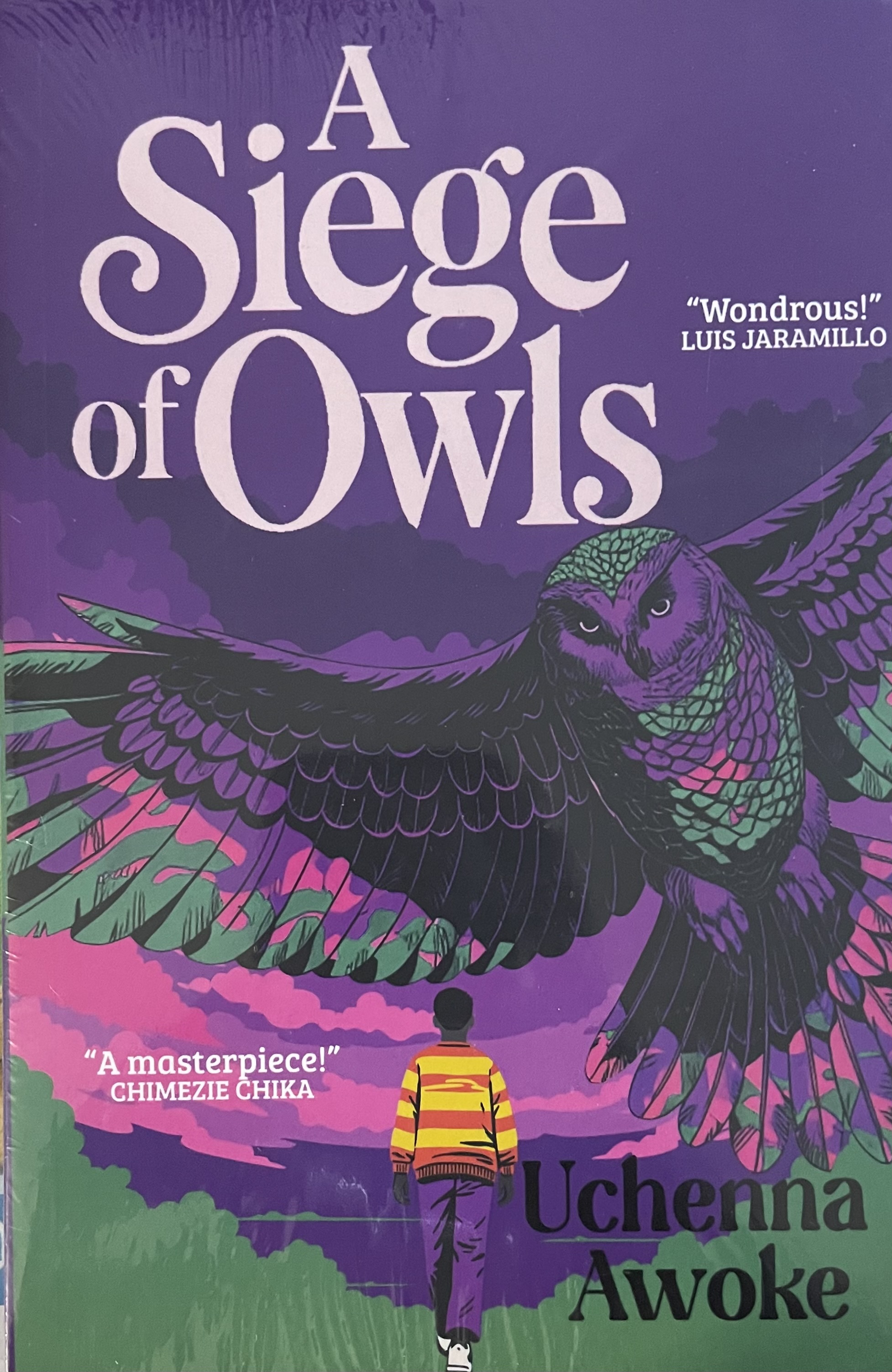 A SIEGE OF OWLS