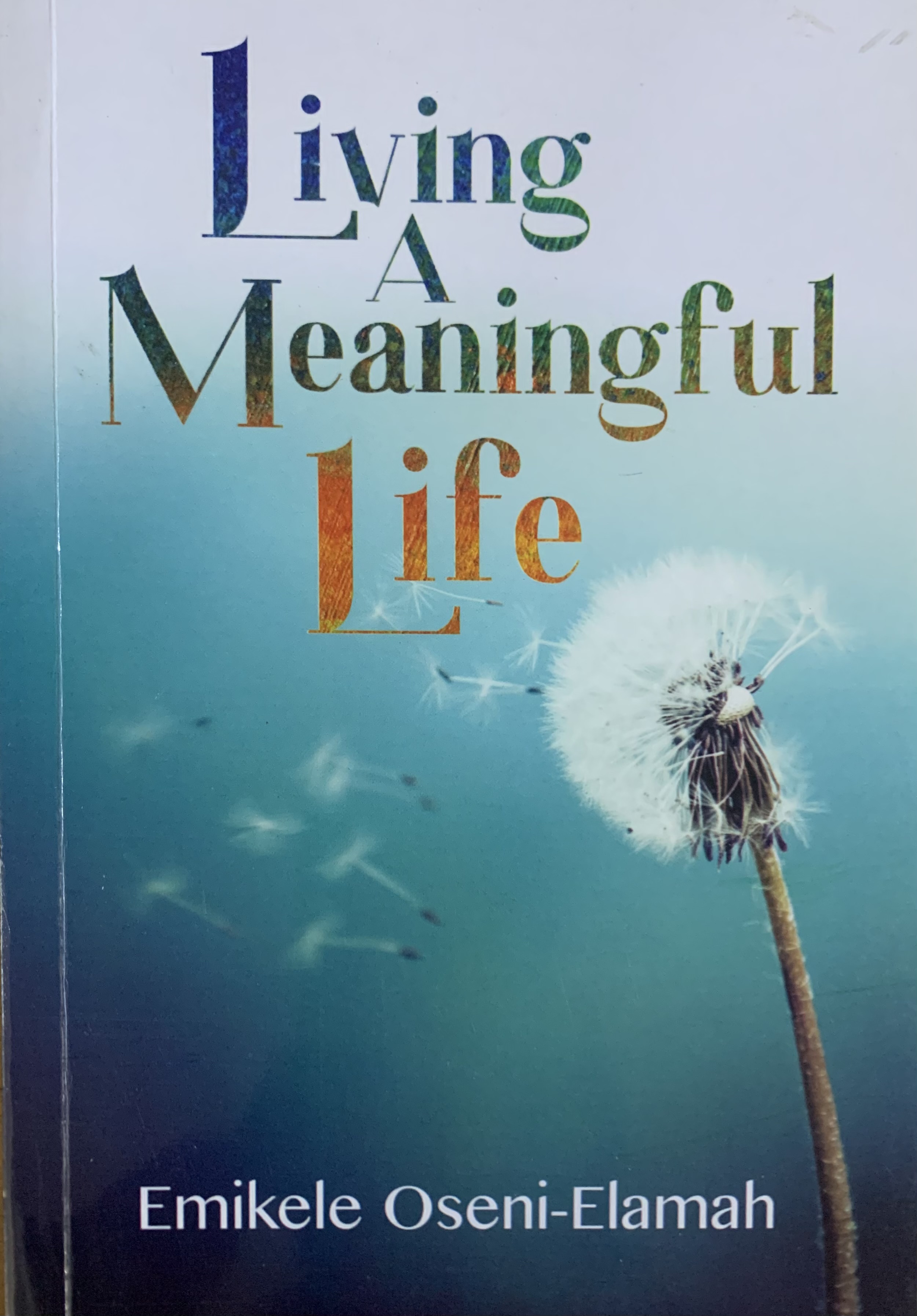 LIVING A MEANINGFUL LIFE