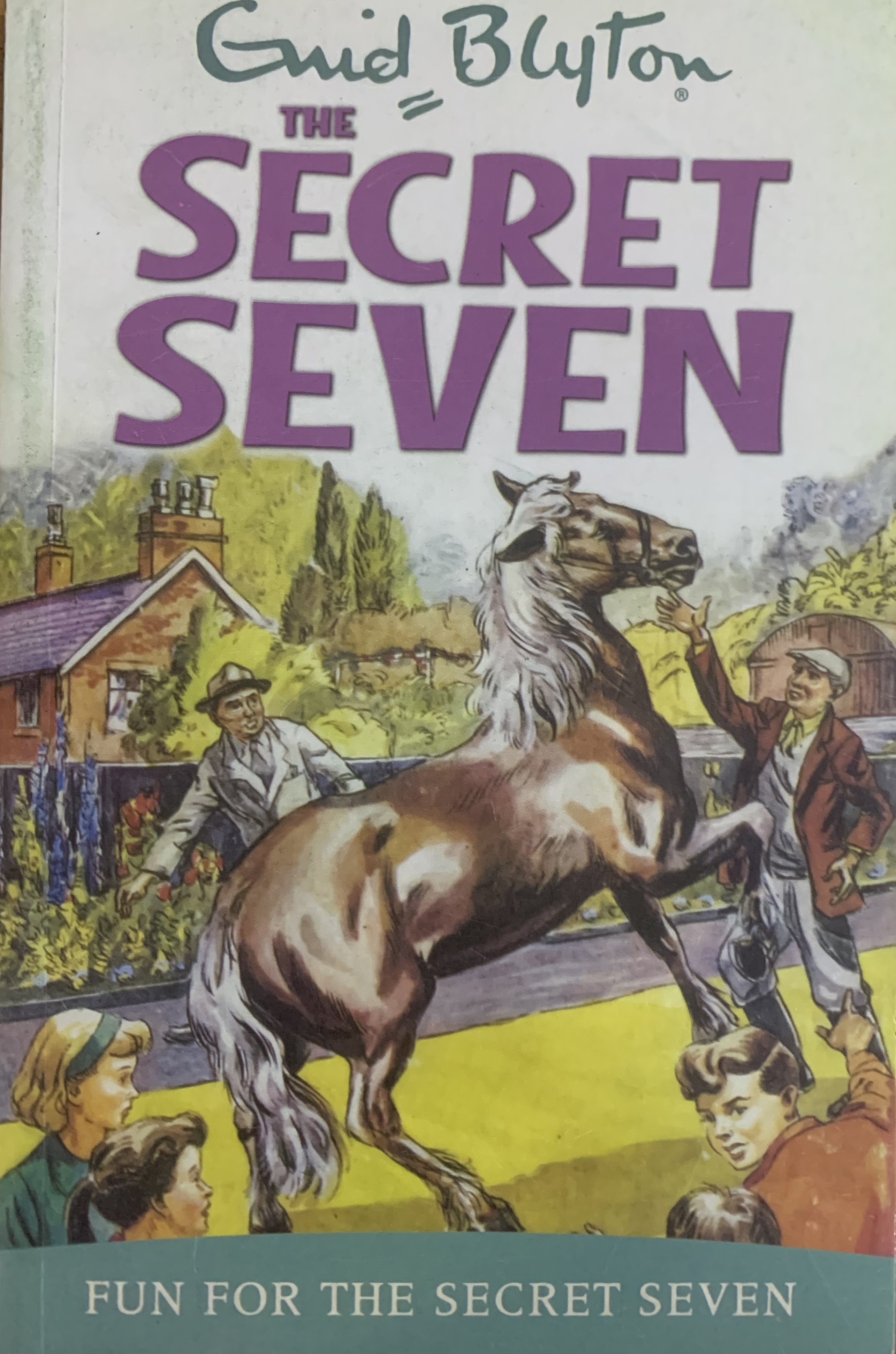 FUN FOR THE SECRET SEVEN