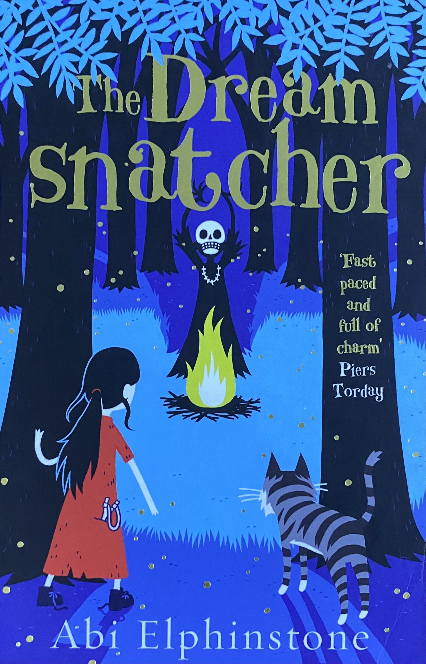THE DREAM SNATCHER